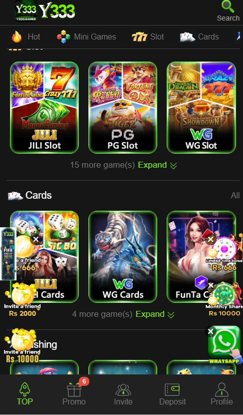 Y333 Game