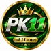 PK11 Game